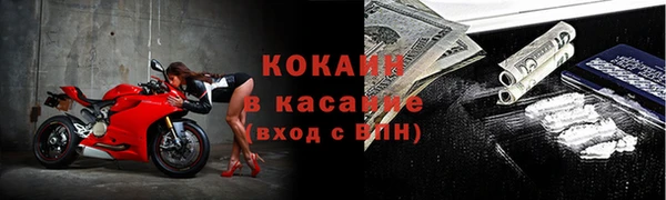 мяу мяу мука Бородино