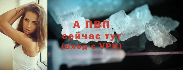 стаф Бронницы