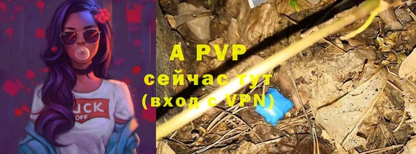 сатива Володарск