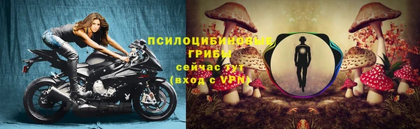 Альфа ПВП Вяземский