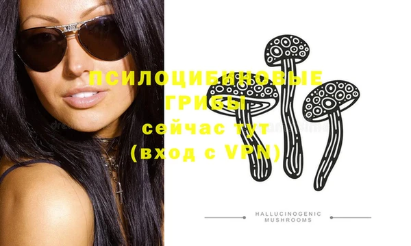 PSILOCYBIN Вязники